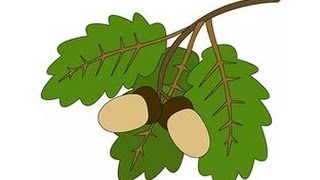 Простые уроки рисования. Как нарисовать лист дуба.