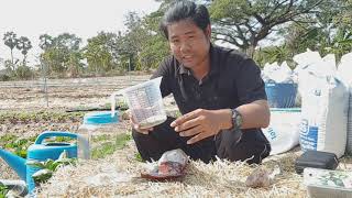 น้ำมะพร้าวเทียมสูตรเด็ด