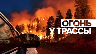 Лесные пожары в Свердловской области добрались до горы Волчиха — видео