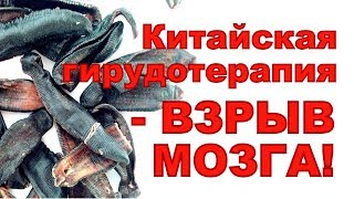 10 ФАКТОВ ИЗ КИТАЙСКОЙ ГИРУДОТЕРАПИИ, ЭКСТРАКТ СУХОЙ ПИЯВКИ, ПИЯВИТ