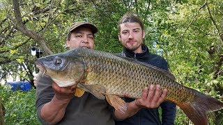 Рыбалка во Франции на реке Сона 2017 #2 | Сазан | Что можно приготовить из рыбы?