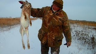 Охота на зайца. Тропление зайца по свежему снегу.