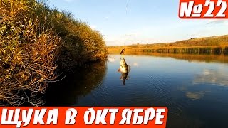 ЛОВЛЯ ОКУНЯ И ЩУКИ НА ВЕРТУШКУ