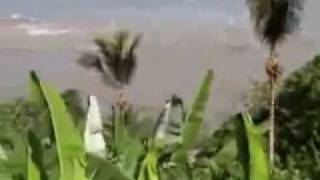 Ocean earthquake and tsunami