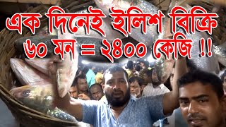 এক হাতে এক দিনে ৬০ মন ইলিশ বিক্রি । 2400 KG HILSA SALE IN A DAY BY A MAN | বাংলারমুখ | Banglarmukh