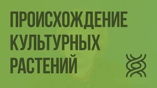 Центры происхождения культурных растений. Видеоурок по биологии 9 класс