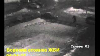 Видео с камер наблюдения. Фрагмент схватки охранника и собаки.
