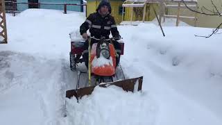 Муравей чистит снег