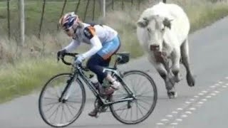 TOP 20 Moments the Cycling World Will Never Forget