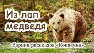 13. "Из лап медведя"  - детский христианский рассказ. Новая рубрика - Детская страничка
