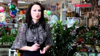Магазин Подарки!Лысково ! Цветы, букеты, шары, горшечные растения, удобрения!