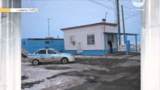 Волк напал на пост ДПС в Астраханской области16+
