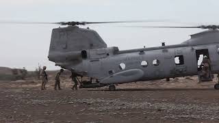 British Commandos & U.S. Marines Conduct Fast-Rope Drills from Helicopters