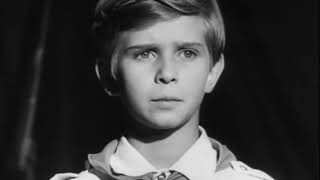Красно солнышко (1972). Кинодебют Игоря Бочкина | Золотая коллекция