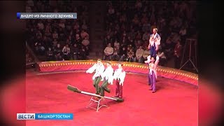Полвека под куполом: уфимский цирк отмечает юбилей