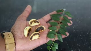 ഇതു മതി കുടവയര്‍ കളയാന്‍ ||EASY HOME REMEDIES TO LOSE BELLY FAT WITHOUT EXERCISE |
