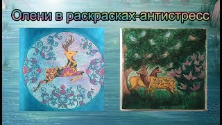 Олени в раскрасках-антистресс / для поиска референса