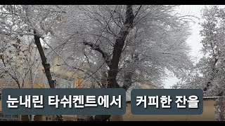 우즈벡 타쉬켄트 눈 내린 설경 너무 아름다워요. 커피숍 소개.   우즈베키스탄 탐방