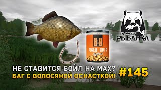 Не ставится бойл на мах? Баг с Волосяной оснасткой!? - Русская Рыбалка 4 #145