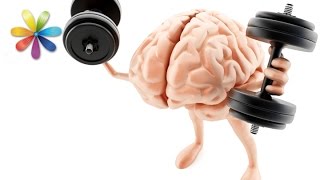 Зарядка для мозгов: как развить логику и скорость мышления? – Все буде добре. Выпуск 669 от 14.09.15