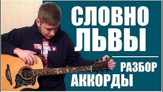 СЛОВНО ЛЬВЫ - Аккорды | Разбор песни | ГИТАРА | СЛОВО ЖИЗНИ