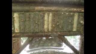 Small log cabin / shelter in the woods / bushcrafting with stone masonry fireplace