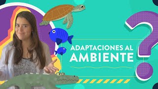 Adaptaciones al ambiente