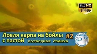 Ловля карпа на бойлы с пастой. Подводная съёмка, Часть 2