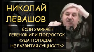 Н.Левашов: Если умирает ребенок или подросток - куда попадает его не развитая сущность?