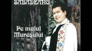 Petre Săbădeanu - Omule cu calul sur