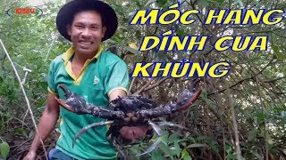 Móc Hang-Bắt Được Con Cua Biển khủng/catch the sea too big