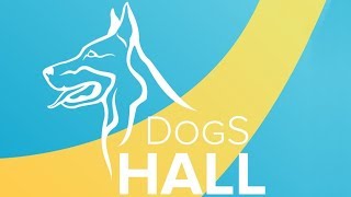 Аджилити | Квалификационные соревнования День Рождения DogS HALL! | 23.12.2018 | DogS HALL
