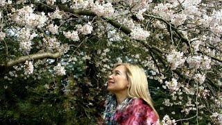 НЕ ПОКИДАЙ МЕНЯ ТАК БЫСТРО. ЕЛЕНА САЙГУШИНСКАЯ ( Сл. и муз - Е. ФРОЛОВА)