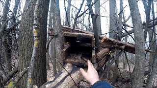 Охота на куницу. Куница на следовую насторожку (Будни охотника и рыбака)