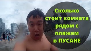Поездка в Пусан, комната за 85$, Крутейший ФИШ эн ЧИПС