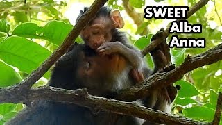 SWEET ACT !! Alba lull mom Anna to sleep | Alba nurse mommy to sleep together.