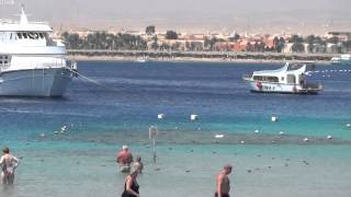 Hotel Sunwing Waterworld 5* . Egypt , Makadi 2015. Beach. Пляж.