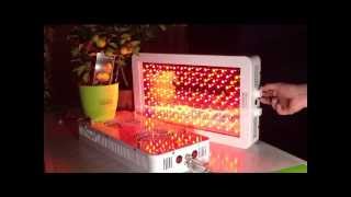 Grow LED lampa | LED osvětlování rostlin | LED osvětlení TOP KONSTRUKT
