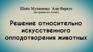 Шейх Мухаммад 'Али Фаркус | Решение относительно искусственного оплодотворения животных