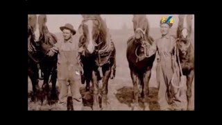 УКРАЇНЦІ В СВІТІ. УКРАЇНЦІ БРАЗИЛІЇ