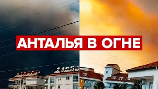Лесные пожары в Турции приблизились к отелям и домам — видео