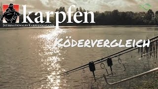 Karpfen - Ködervergleich