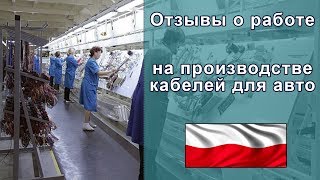 Робота у Польщі  Виготовлення кабельної продукції для автомобілів