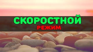 Установка каталога Скоростной режим в Sims 3
