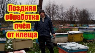 ???ПОСЛЕДНЯЯ ПОЗДНЯЯ ОБРАБОТКА ПЧЕЛОСЕМЕЙ ОТ КЛЕЩА ВАРРОА
