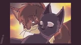 Коты Воители:В Одно Касание: