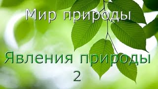 Явления природы 2