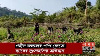 গহীন জঙ্গলের পপি ক্ষেতে র‍্যাবের দুঃসাহসিক অভিযান | POPPI | Somoy TV