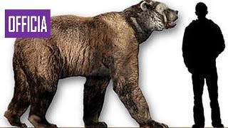 Доисторические хищники — Короткомордый медведь (Документальные фильмы Nat