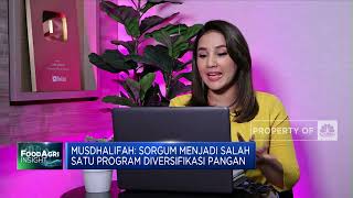 Jokowi Tekan Impor Gandum, Pengembangan Sorgum Jadi Solusi?